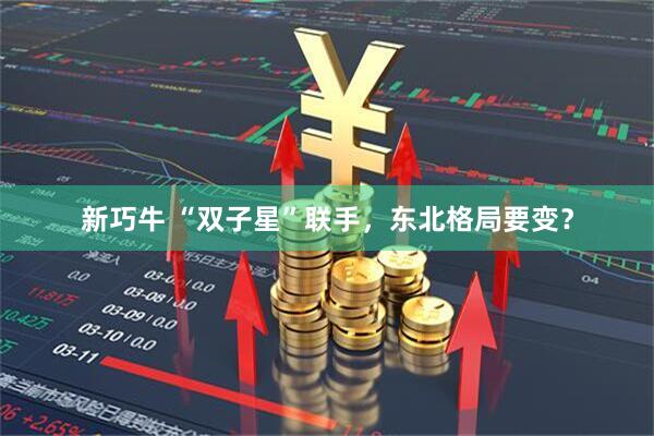 新巧牛 “双子星”联手，东北格局要变？