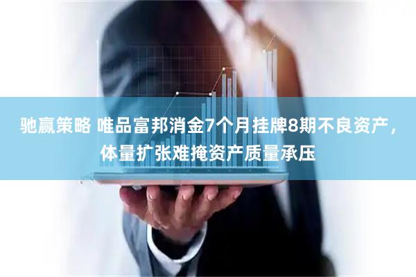 驰赢策略 唯品富邦消金7个月挂牌8期不良资产，体量扩张难掩资产质量承压