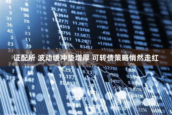 证配所 波动缓冲垫增厚 可转债策略悄然走红